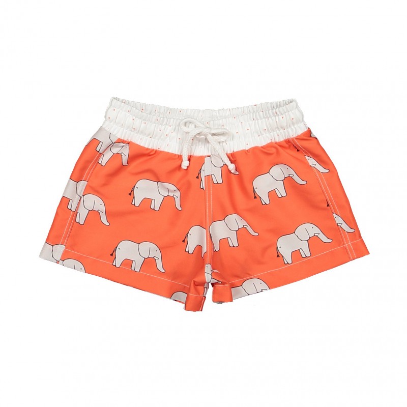 Elephants swim trunks